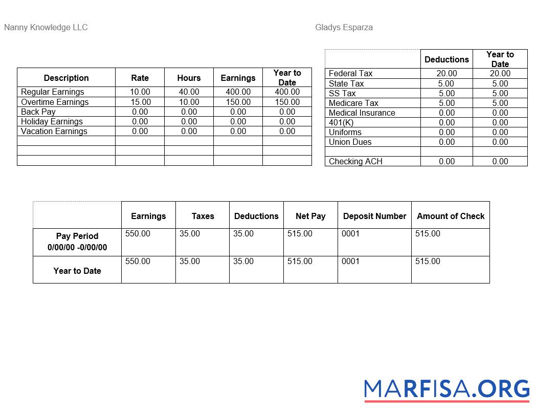 Downloadable Nanny Knowledge LLC pay stub example